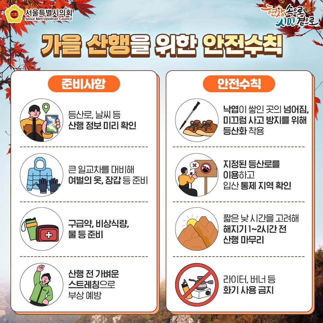 2024 단풍 절정 시기