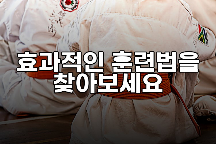 효과적인 훈련법을 찾아보세요