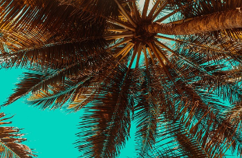 정부지원 저금리 서민대출 9