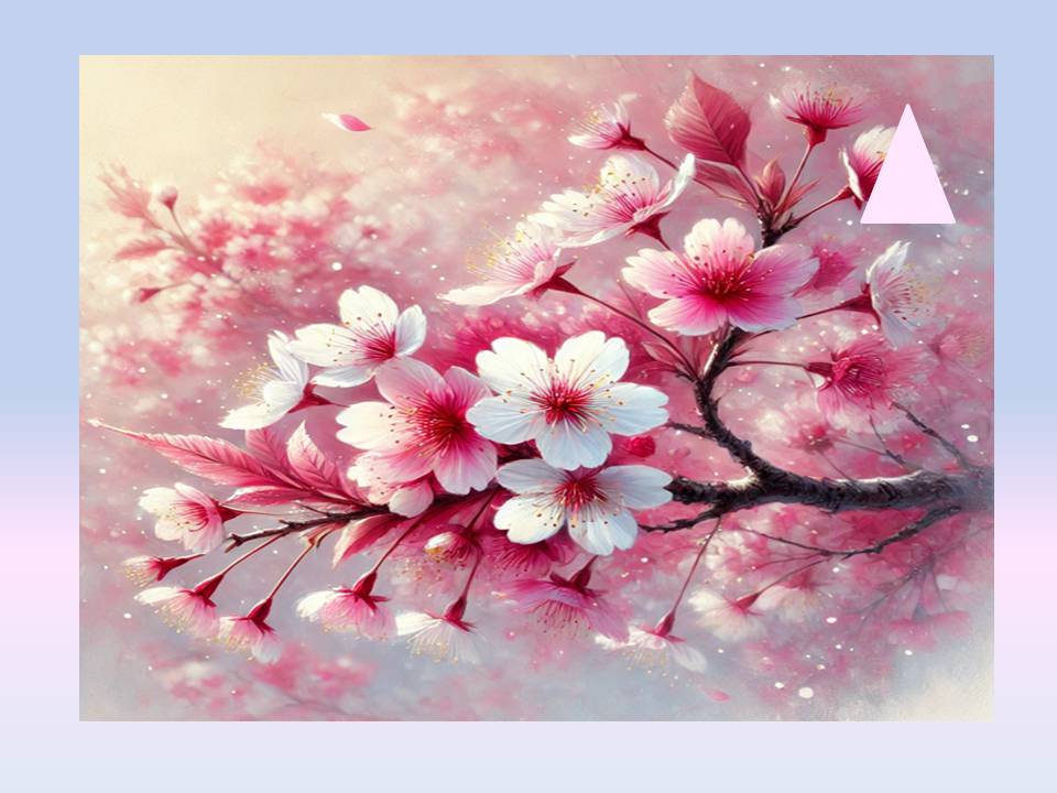 목포 벚꽃 명소 추천