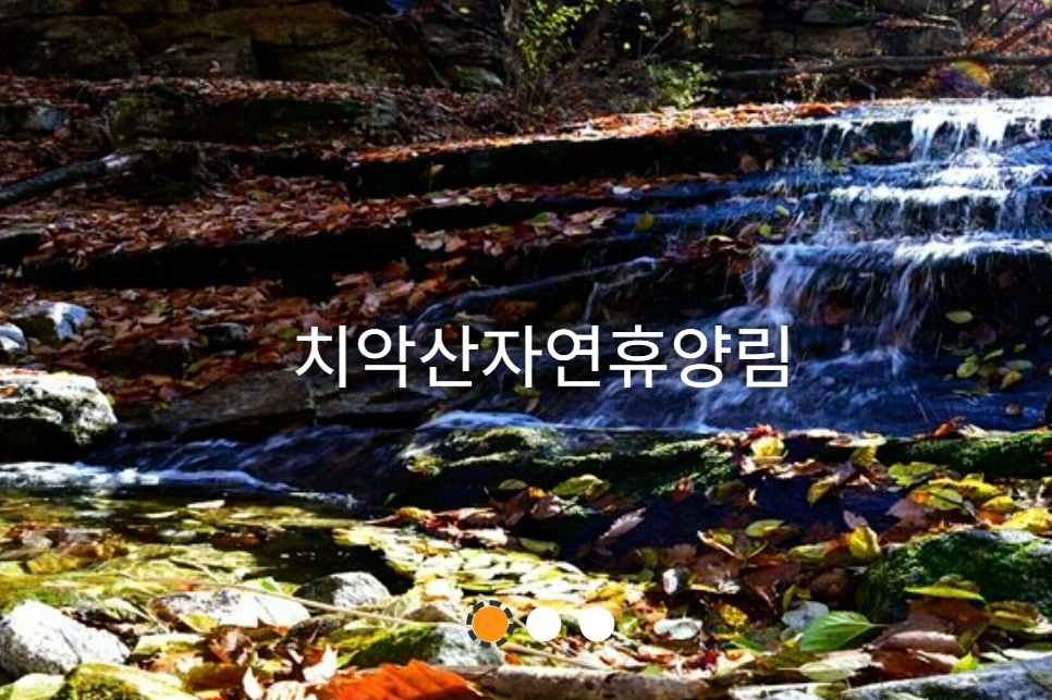 자연휴양림