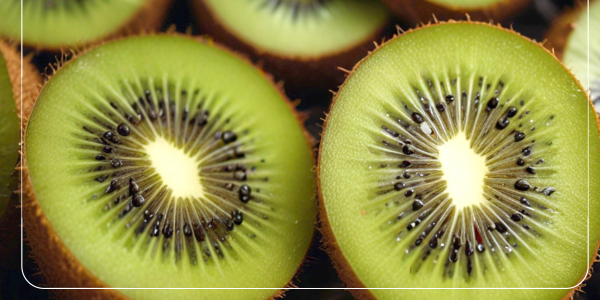 철분 부족 판단 위한 자가진단 설문지13