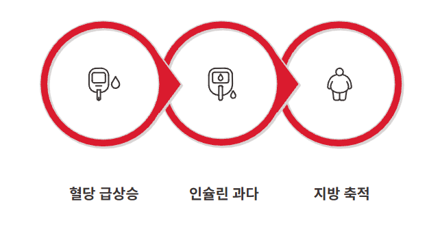 혈당다이어트 방법, 식단, 보조제, 원리 완벽정리!!