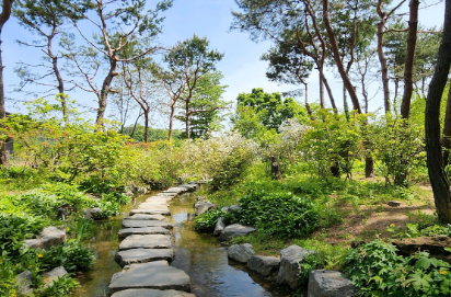 세미원 주요 포인트