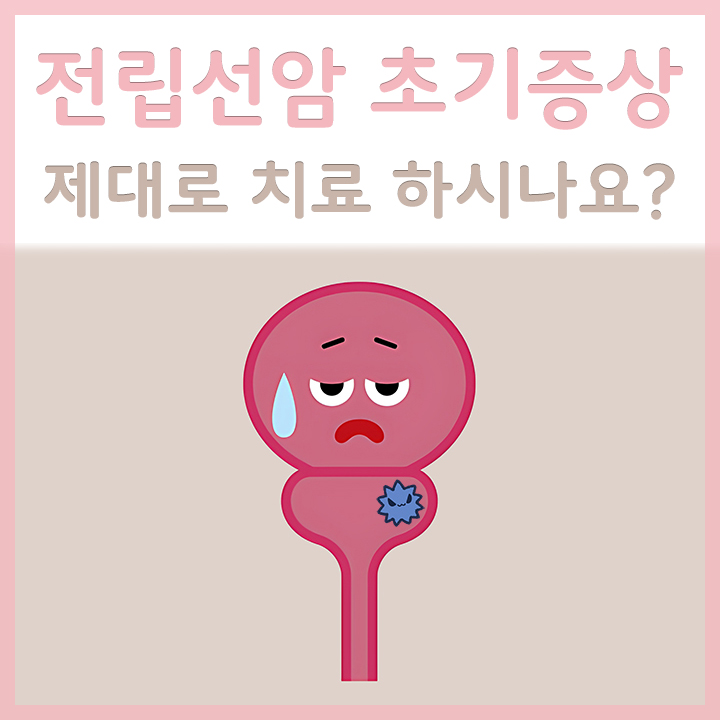 전립선암의-모습