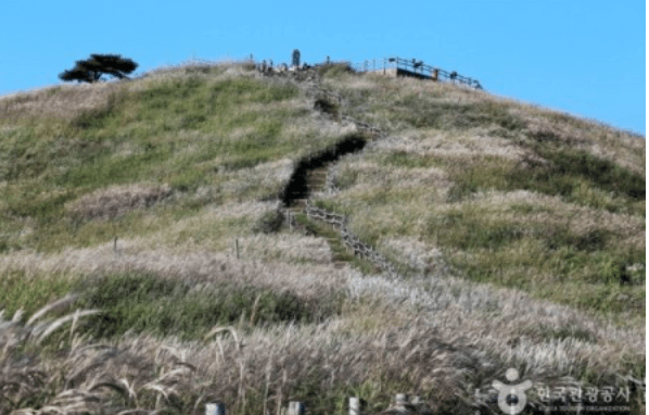 가을여행 단풍 기차여행 추천