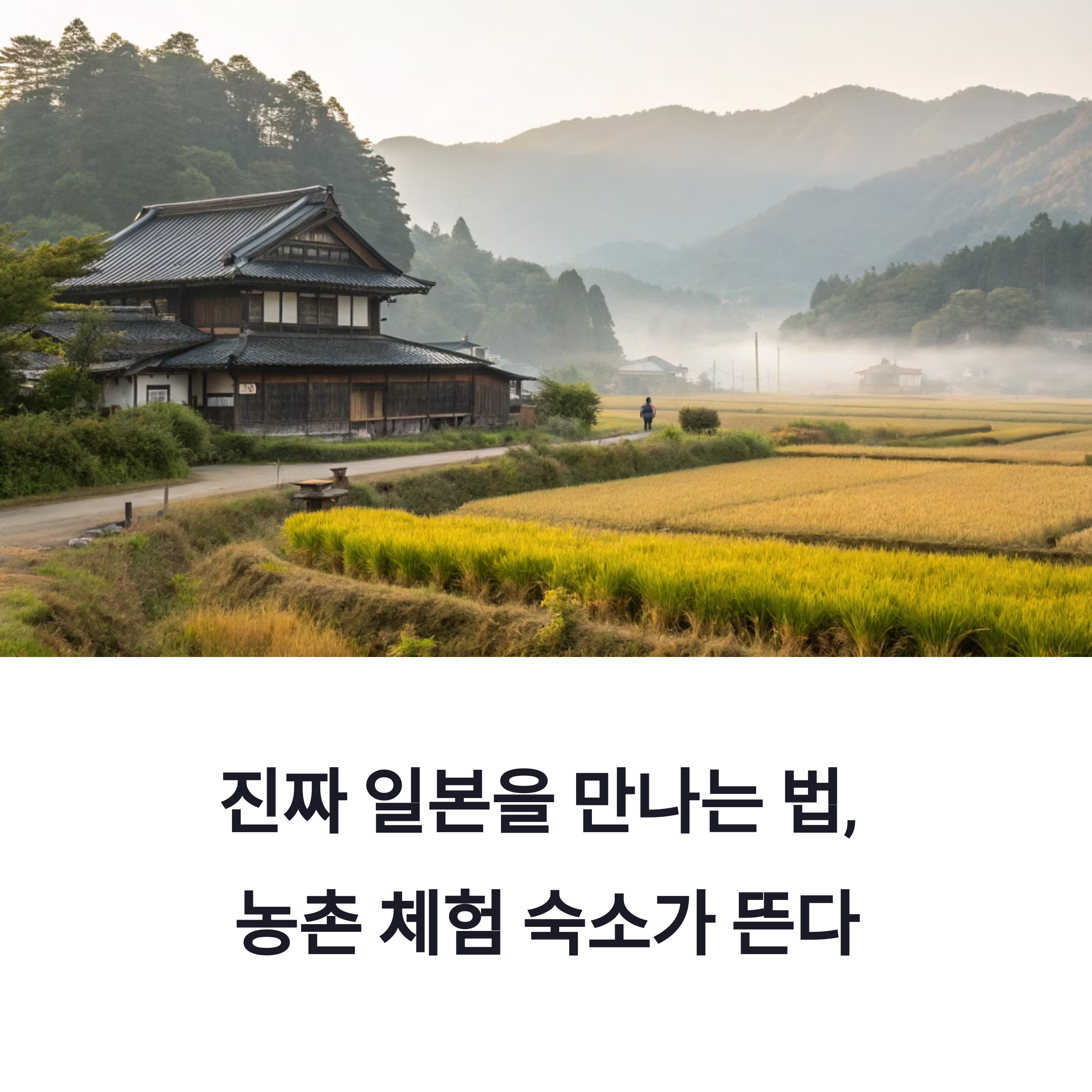 농촌 체험 숙소에서 일본