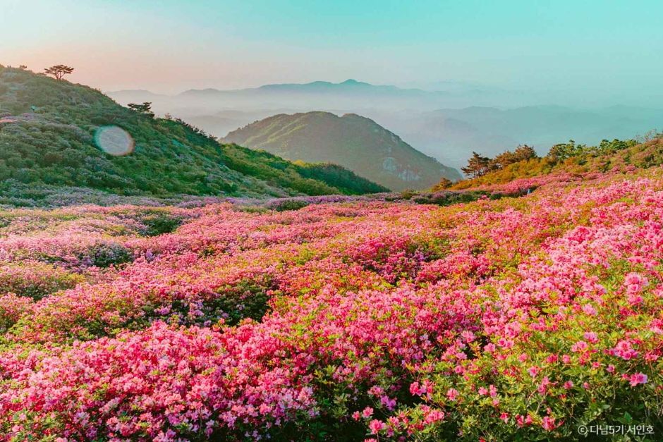 합천 가볼만한곳 베스트10