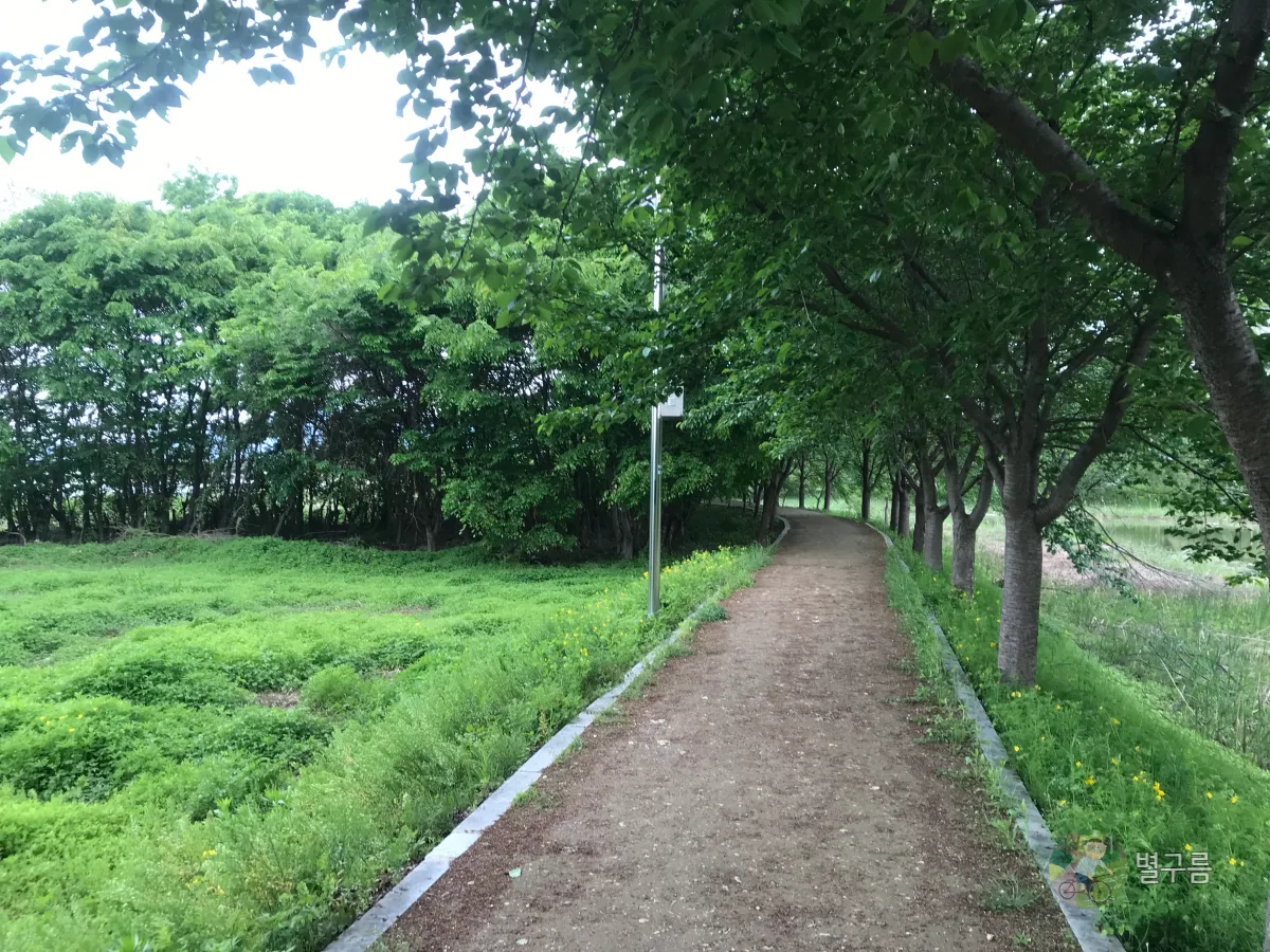 두물머리-물래길-산책길-4