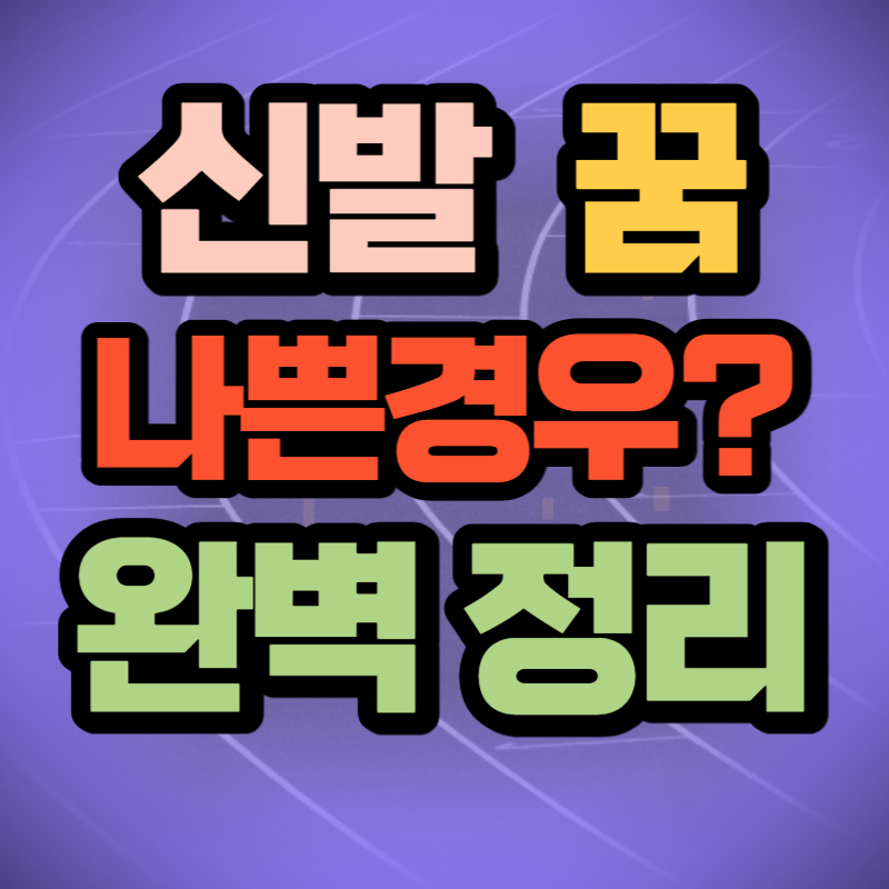 신발 꿈해몽