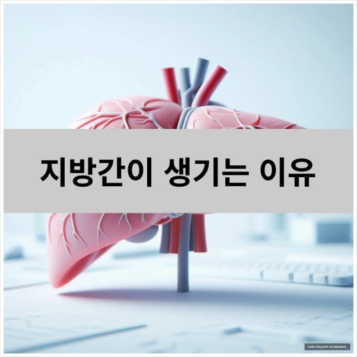 지방간이 생기는 진짜 원인