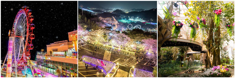 스파크랜드, 이월드, 네이처파크 사진