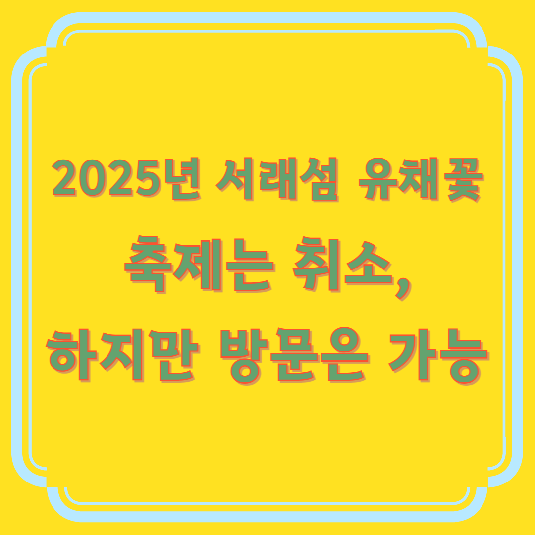 서래섬 유채꽃 축제 취소