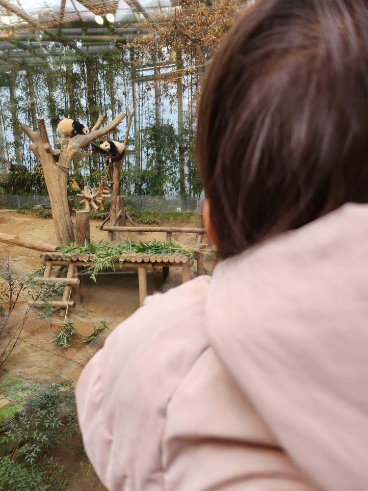 판다와 아이