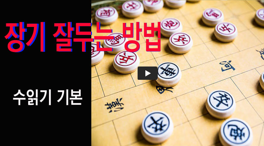 프로 장기 유튜브