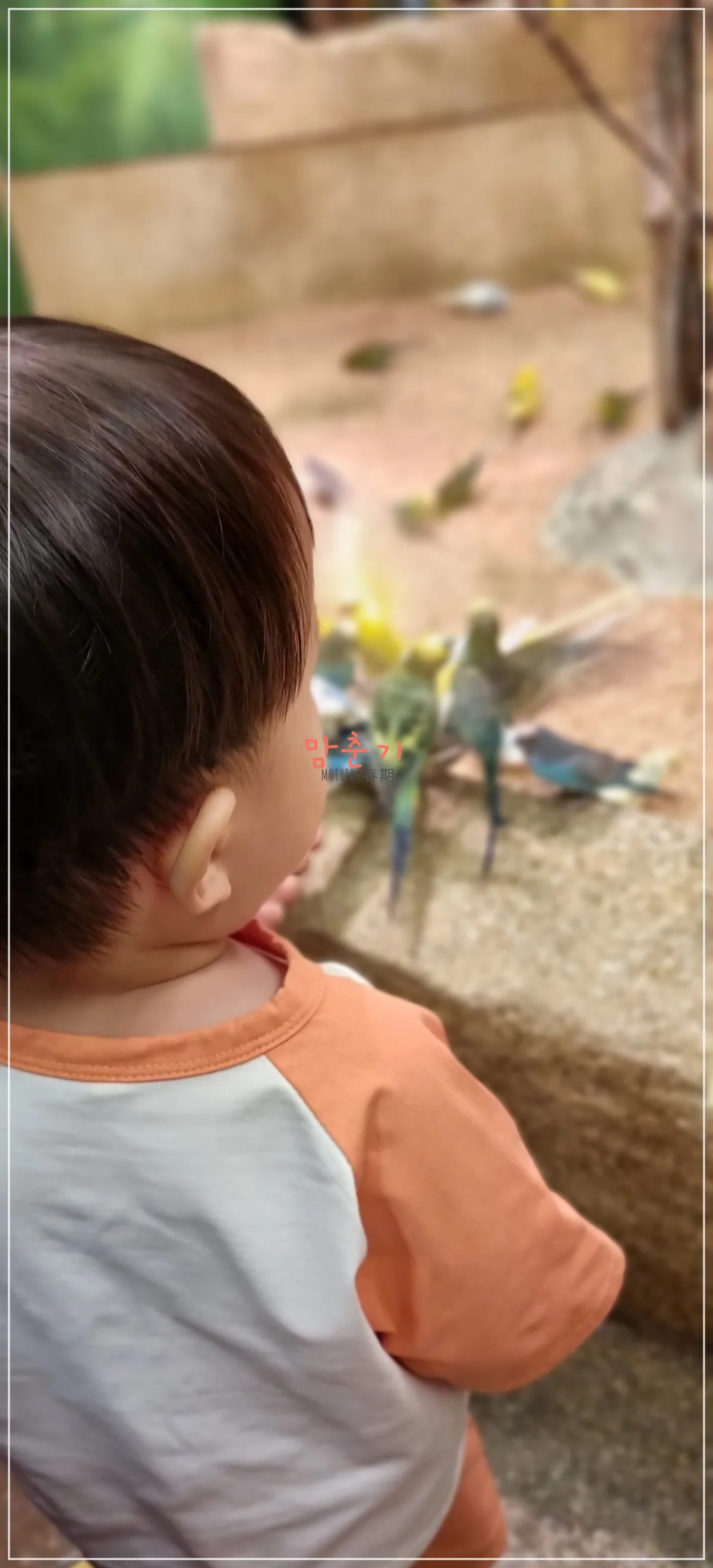 라라쥬동물원-앵무새-모이주기