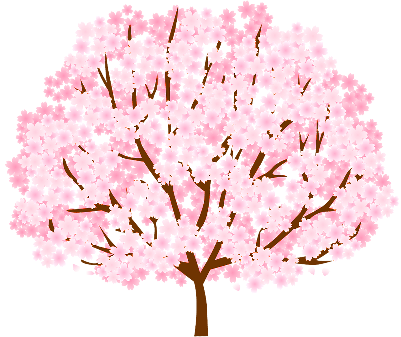 벚꽃