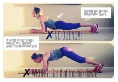 플랭크 잘못된 자세 이미지