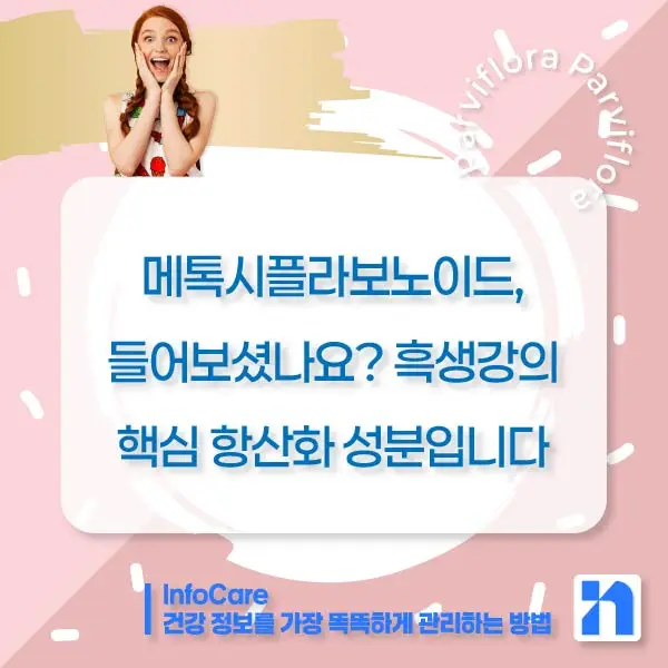 파비플로라 흑생강 효능&amp;#44; 복용법