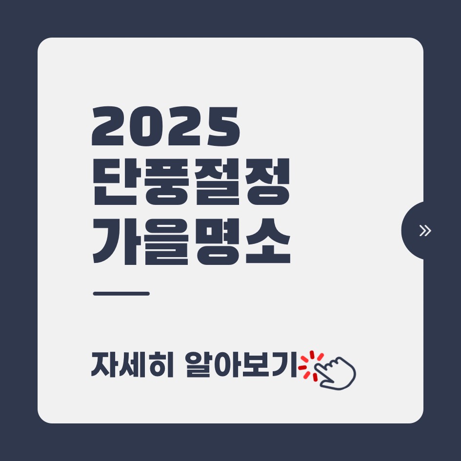 2025 한국 단풍 절정 시기와 추천 명소｜설악산&middot;지리산&middot;내장산 단풍 여행 가이드