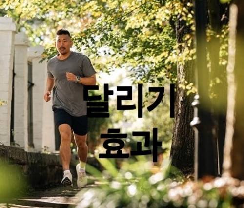 꾸준한 달리기로 심혈관 건강을 유지하여 노화방지와 면역력에 효과적임을 설명하는 이미지