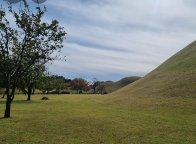 가을에 꼭 가봐야할 경주여행 BEST 5