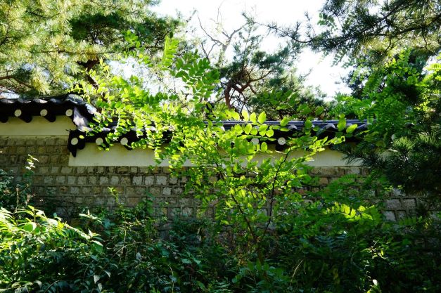 가을빛에 저항하고 있는 초록 나뭇잎