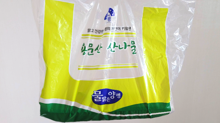 양평 용문산 산나물