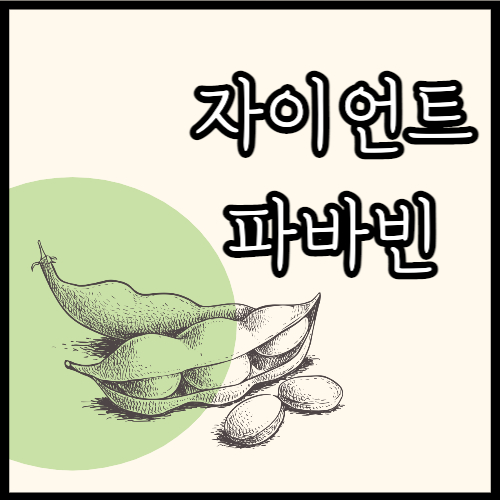 자이언트파바빈