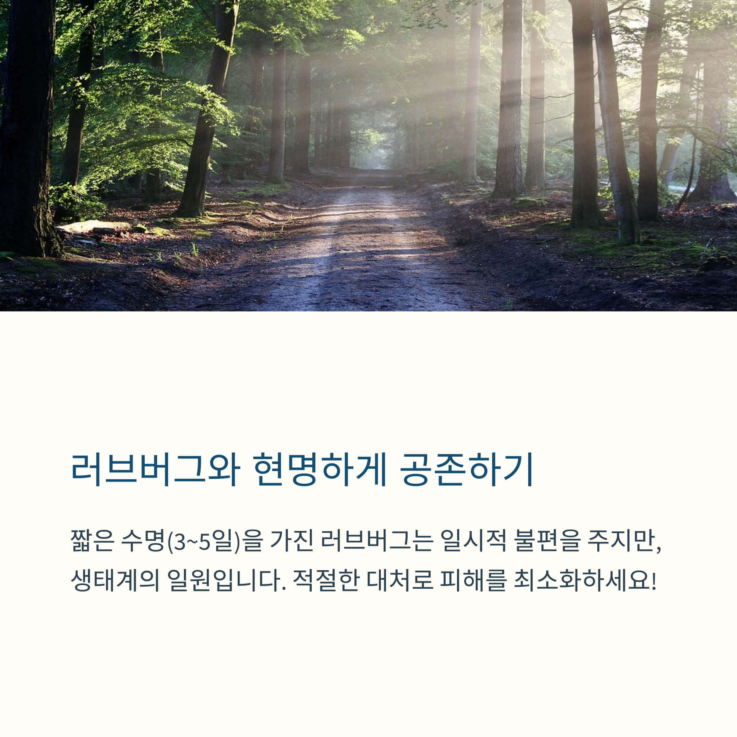 공존하기