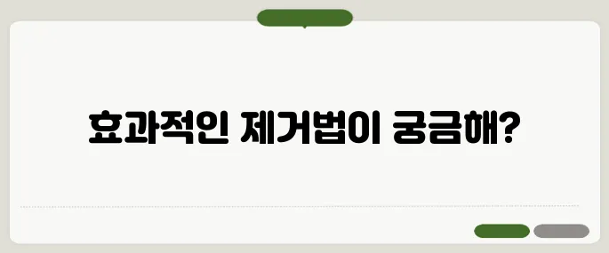유성매직 지우는법 가죽·벽면별 제거법