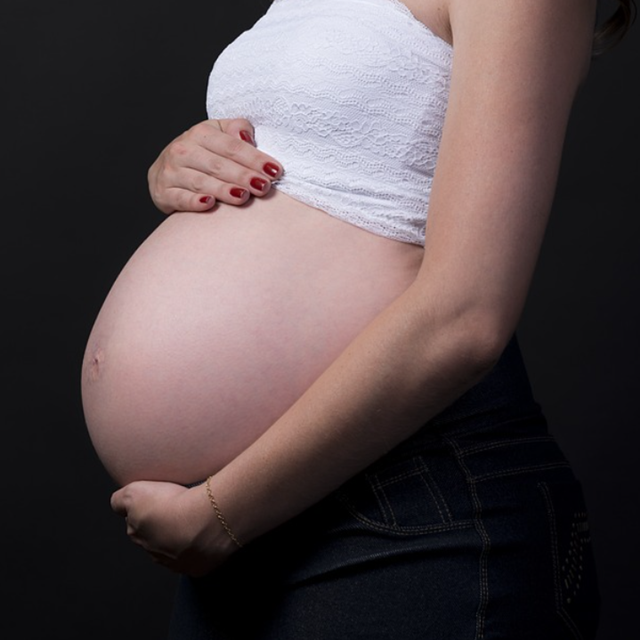 서울시임산부교통비지원사업