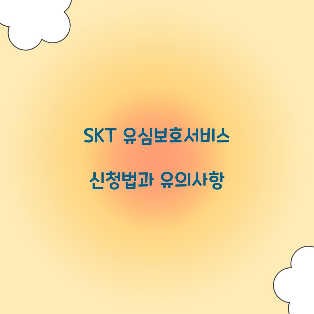 SKT 유심보호서비스