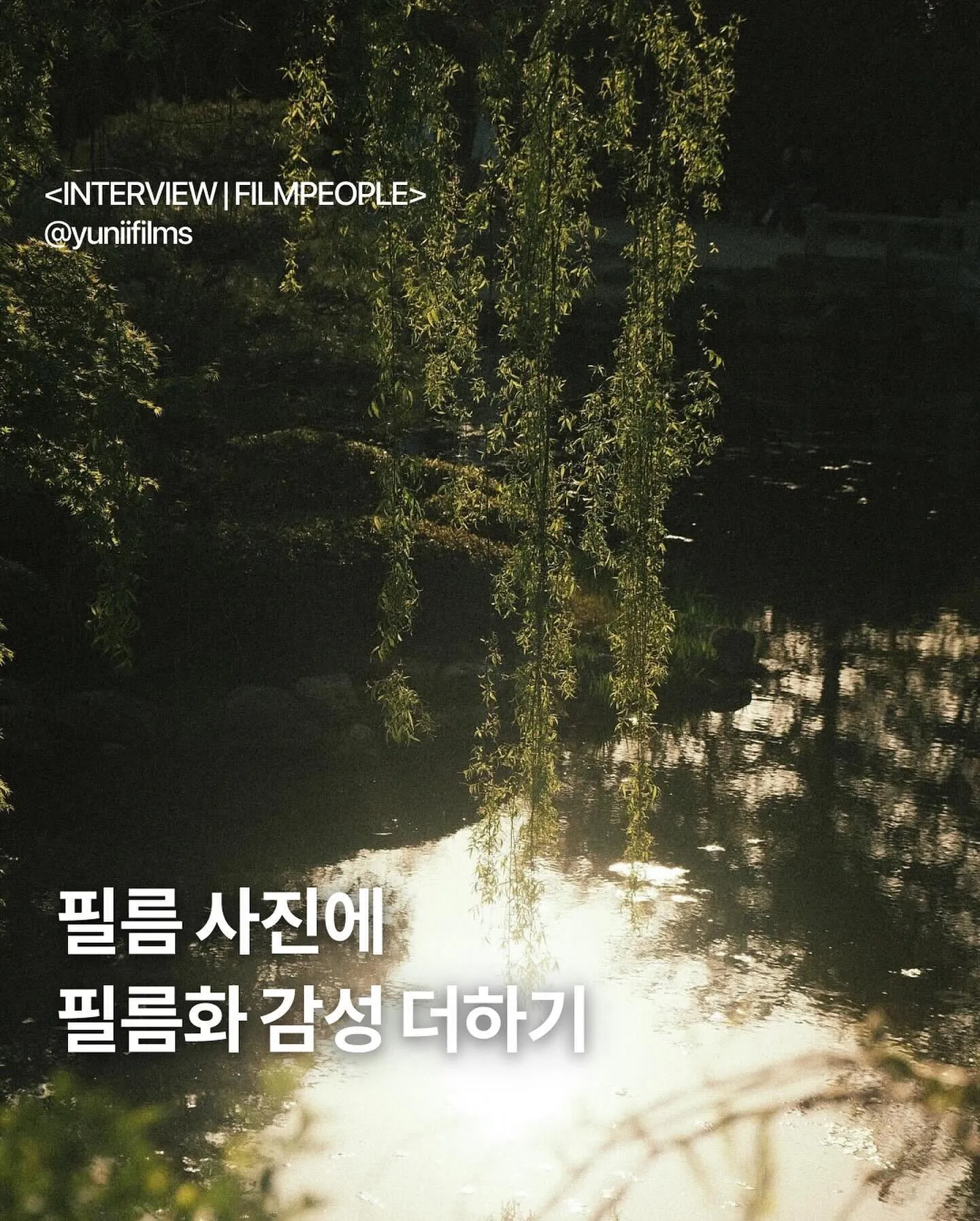 필름화 살펴보기 1