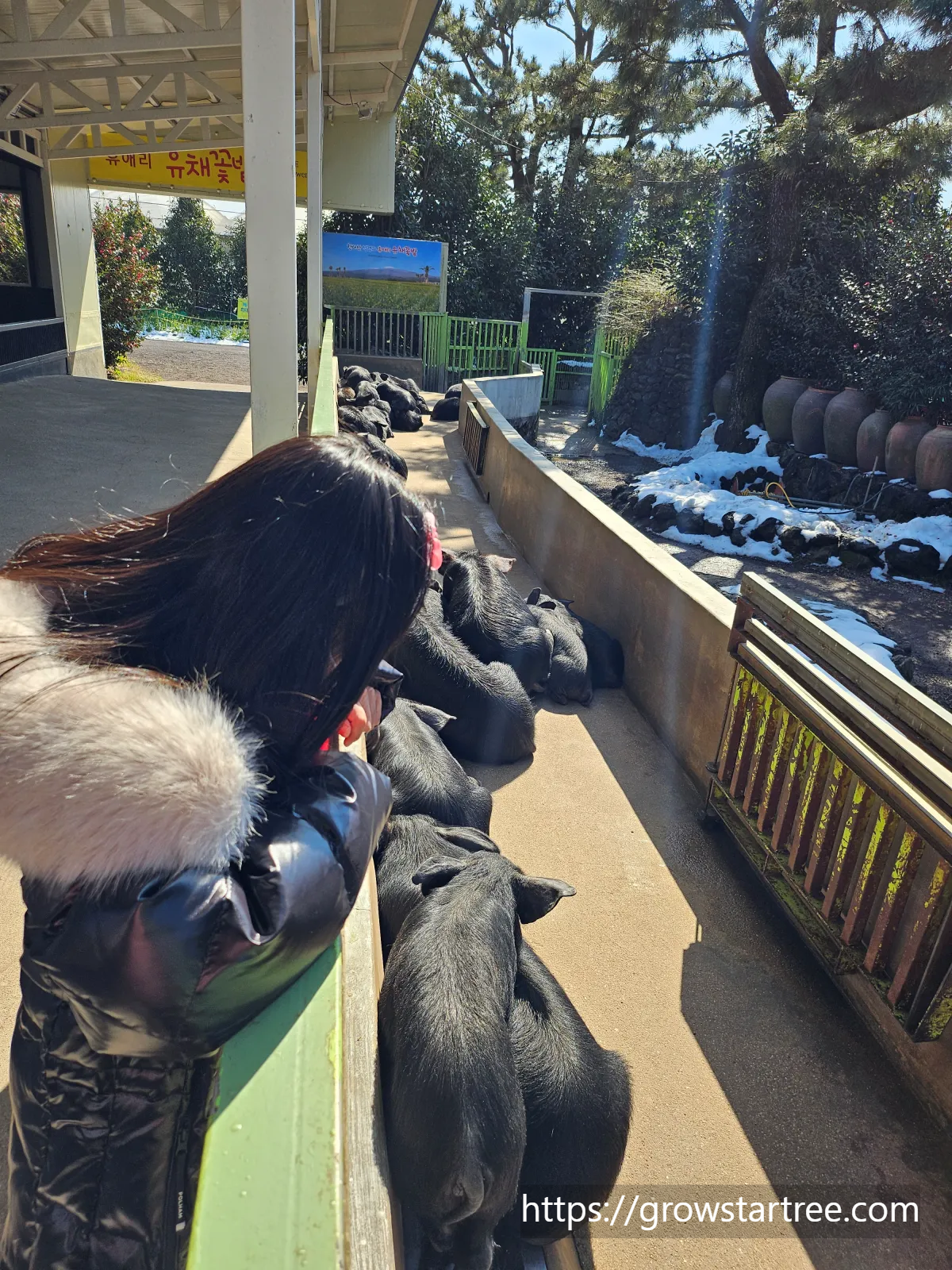 휴애리자연생활공원