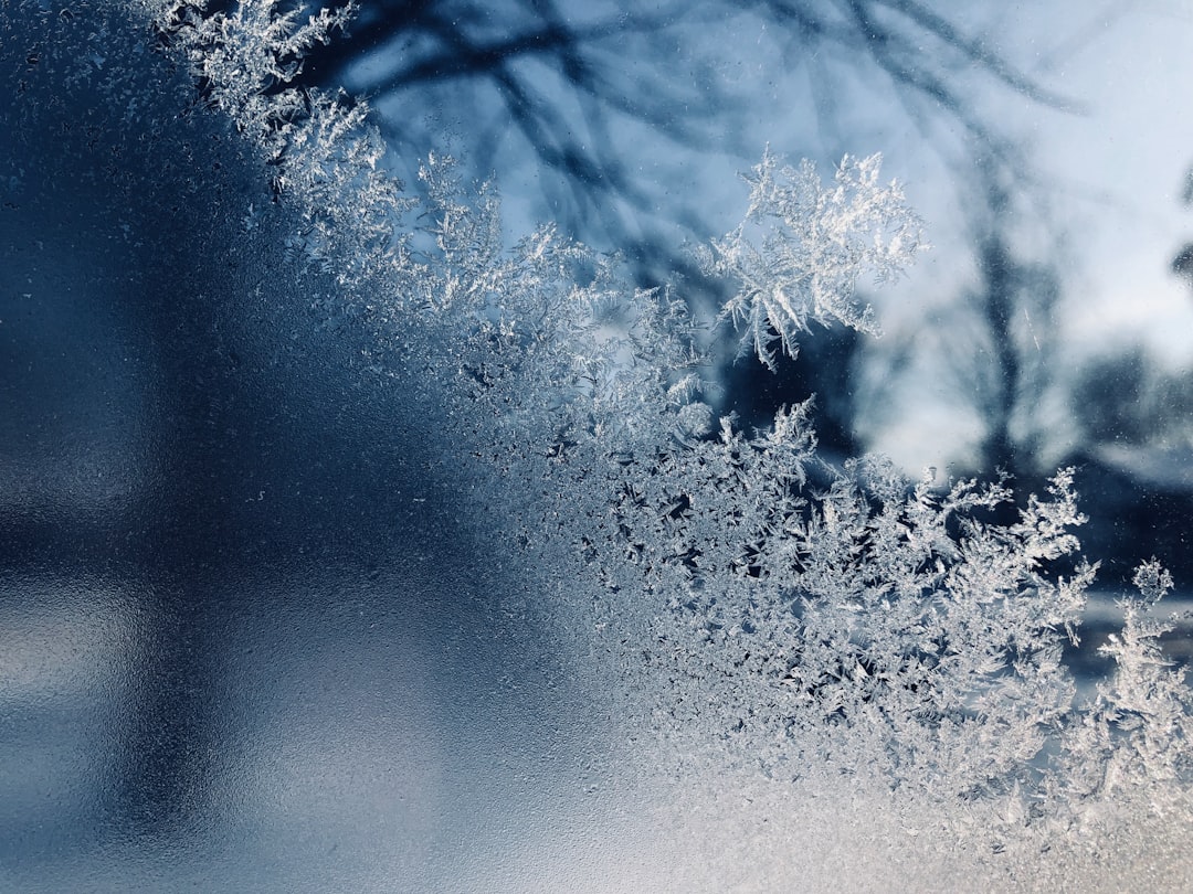 Frost