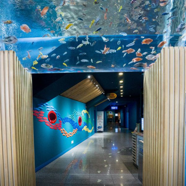 다누리아쿠아리움