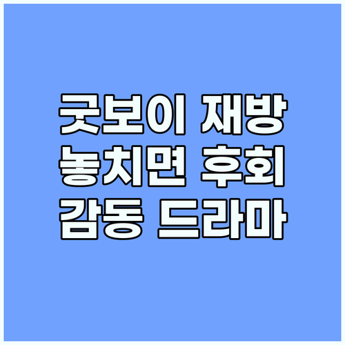굿보이 재방송: 놓치면 후회할 감동의..