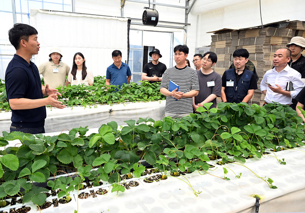 스마트팜 창업과 스마트공장 자동화, 성공사례와 실전 가이드 총정리