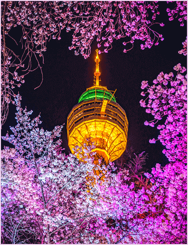 대구 이월드 레인보우 블라썸 라이팅 쇼