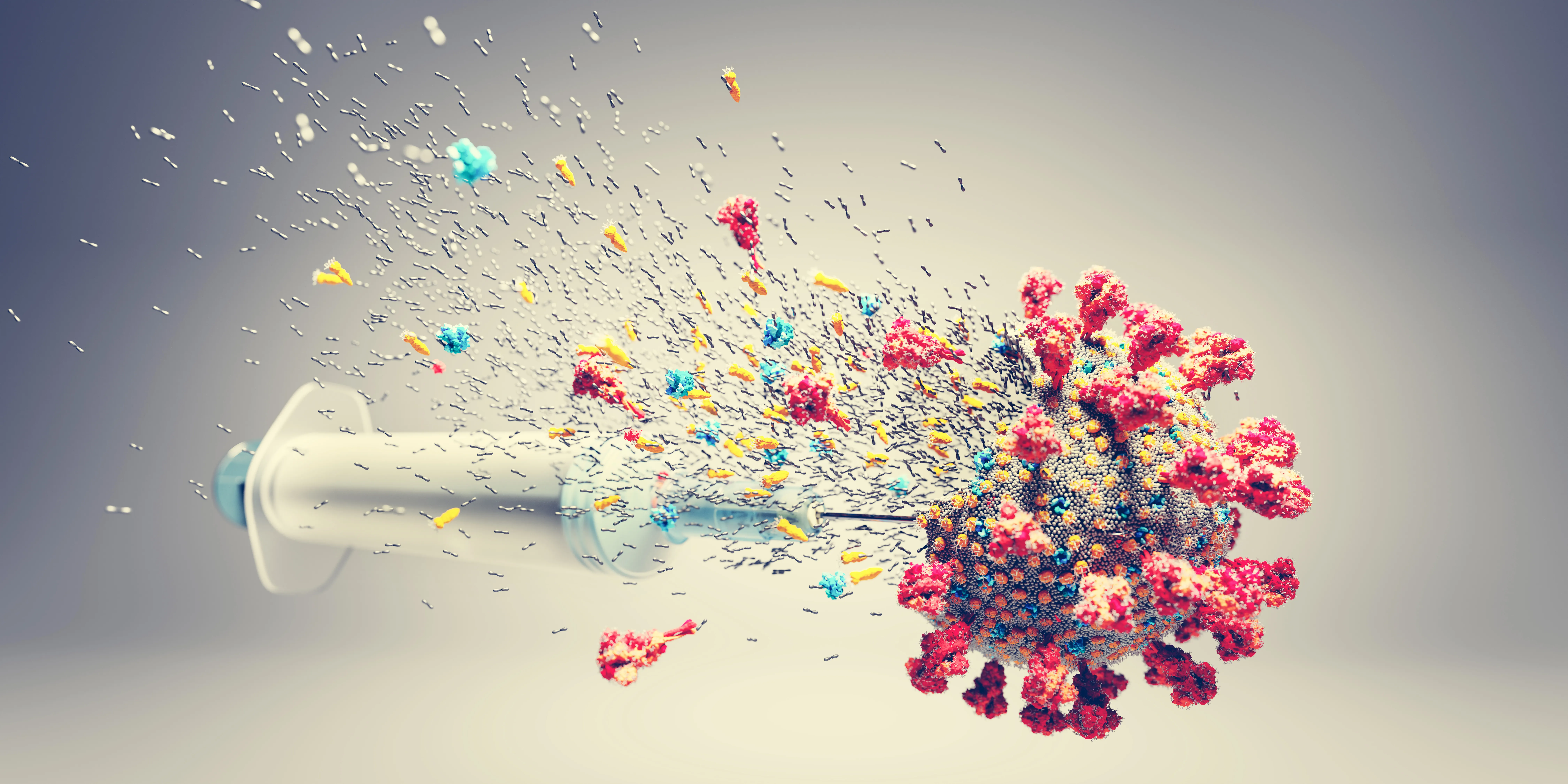 임질-항생제-바이러스-파괴