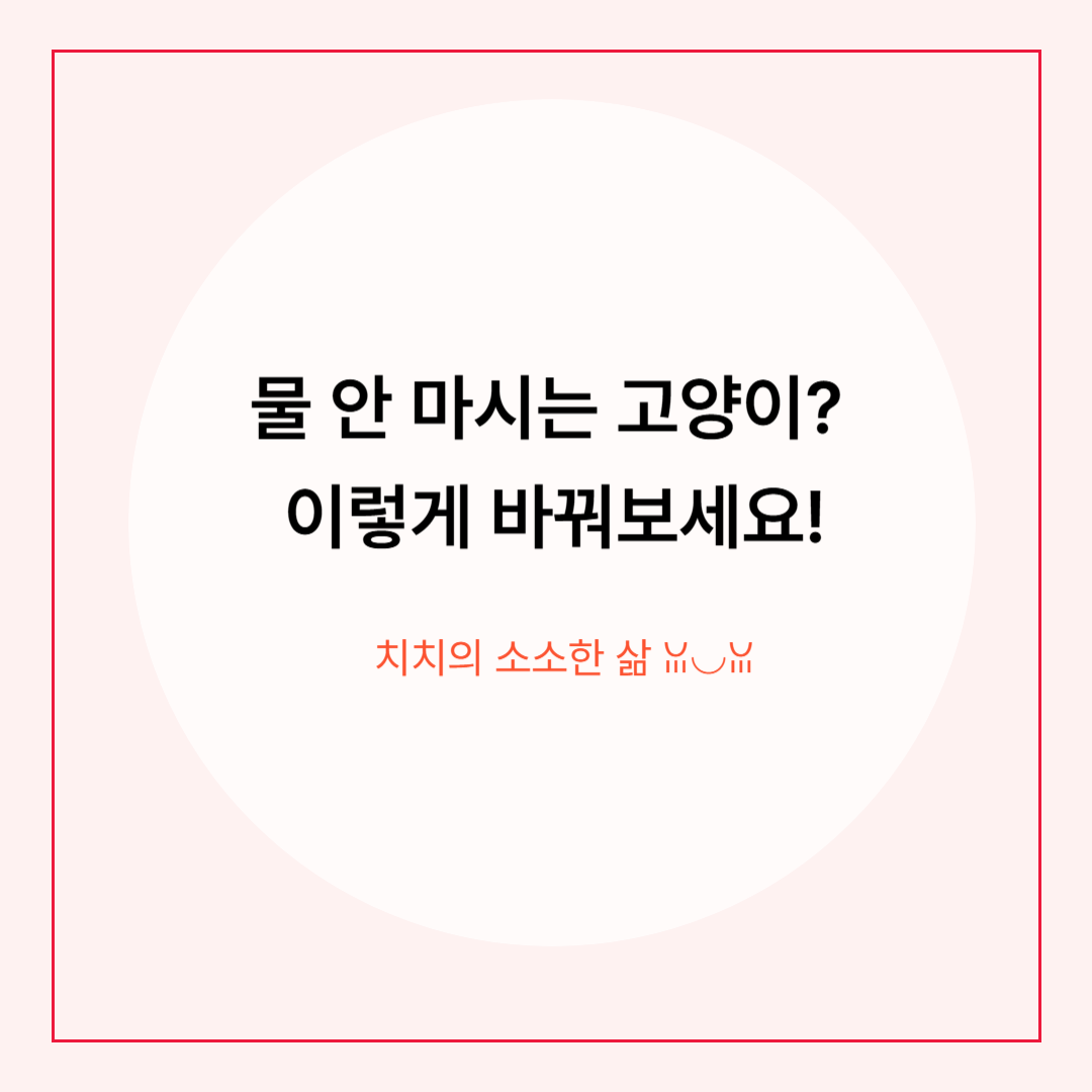 고양이 물 잘 마시게 하는 5가지 습관 만들기