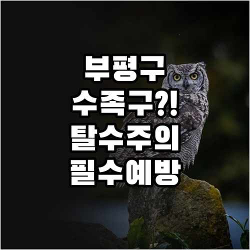 부평구 수족구 치료 병원과 탈수 예방..