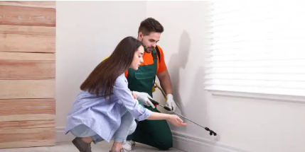 진드기 퇴치와 예방의 모든 것