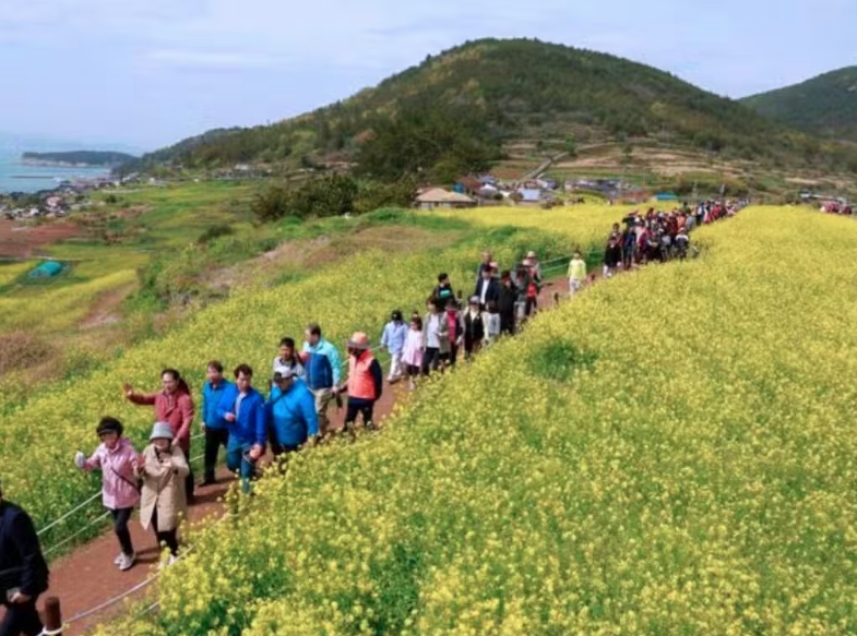 완도군 청산도 슬로걷기축제 2