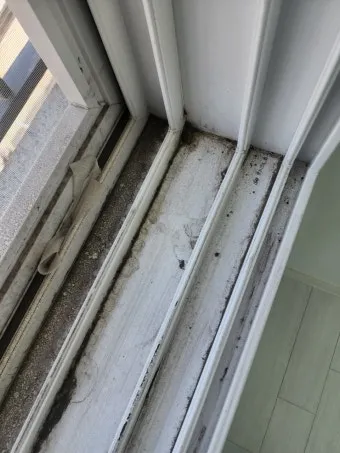 창틀 먼지 진공청소기 솔브러시와 물티슈로 닦는 순서_3