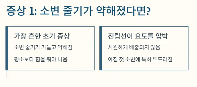 소변줄기 약해짐