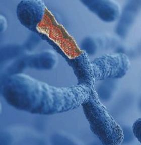 대상포진 신경 사진