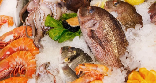 국산수산물 신선한 이미지