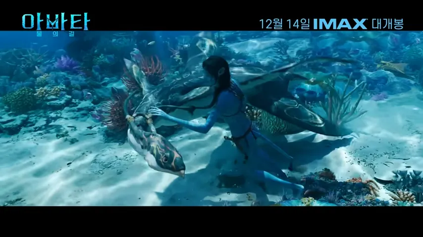 아바타2-물의길-주의점